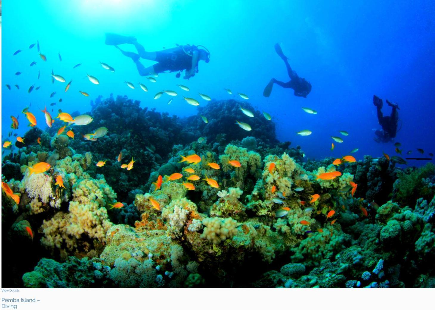 Lala Lodge Pemba Zanzibar Mgini ภายนอก รูปภาพ
