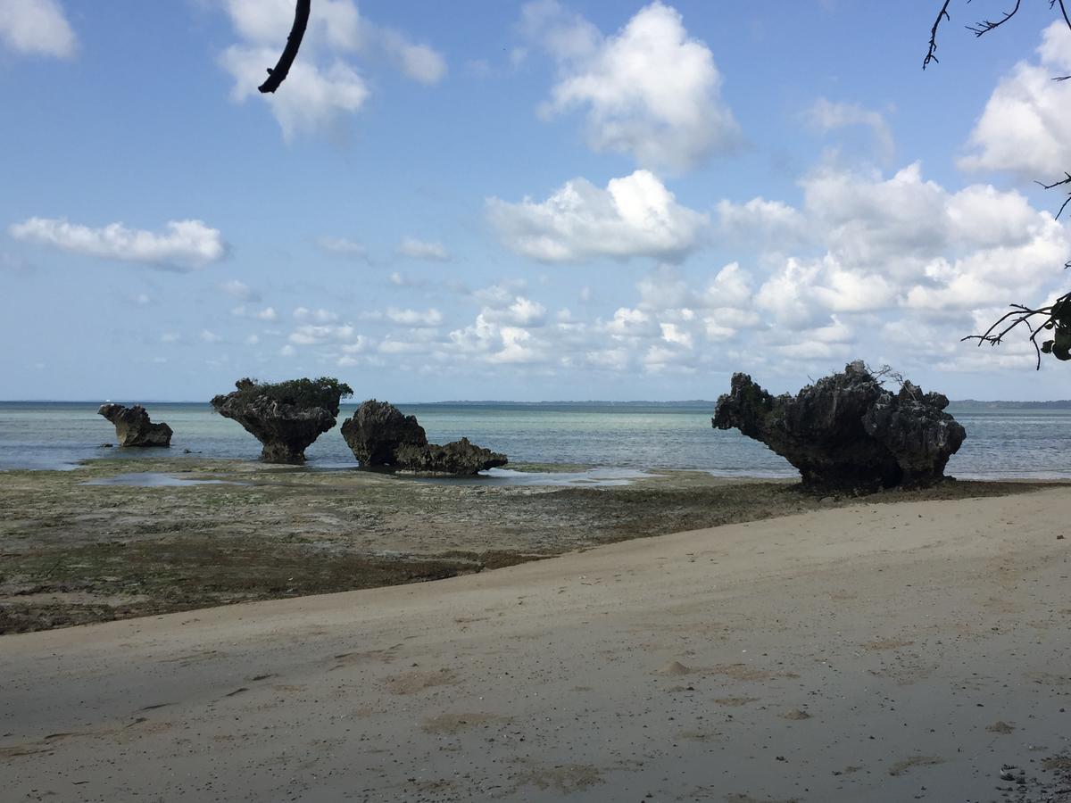 Lala Lodge Pemba Zanzibar Mgini ภายนอก รูปภาพ